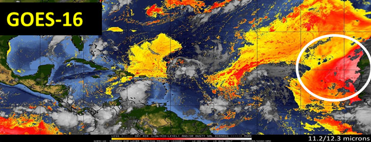 Regional Slowdowns of Tropical Cyclone Movement