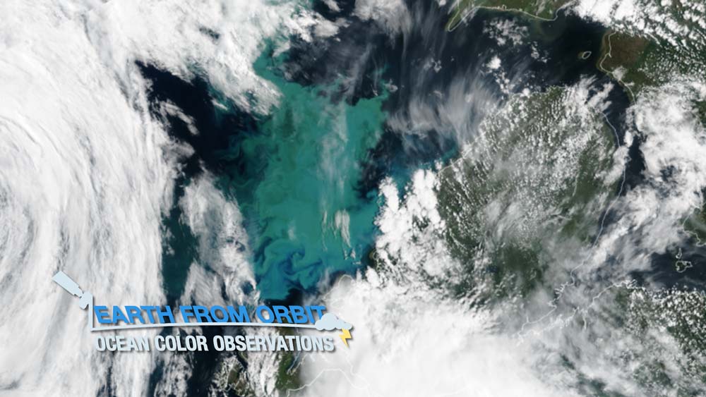 Earth from Orbit: Ocean Color Observations
 image