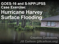 GOES-16 and S-NPP/JPSS Case Exercise: Hurricane Harvey Surface Flooding